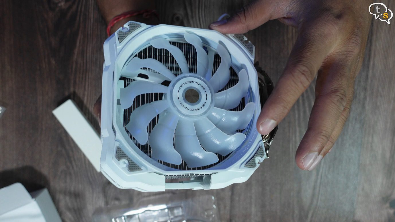 A person holding a white fan Description automatically generated with low confidence